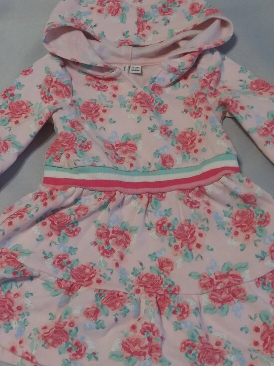 Janie and Jack Other - Janie and Jack Floral Print Hoodie DRESS 18-24 Months
